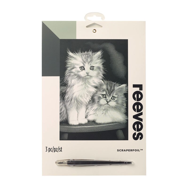Gravura predesenata Fluffy Kittens Reeves - eMAG.ro