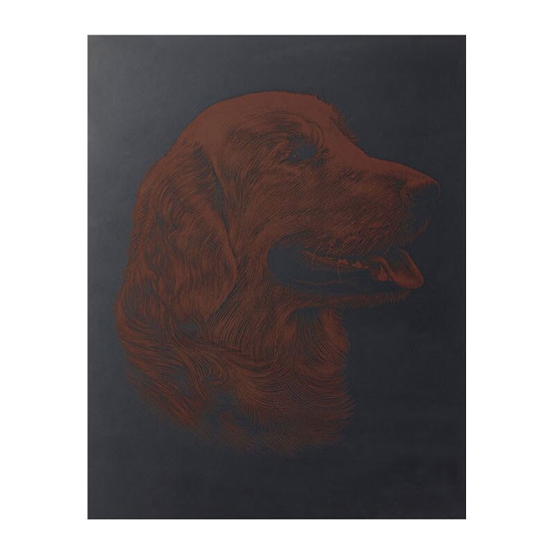 Gravura predesenata Golden Retriever Reeves