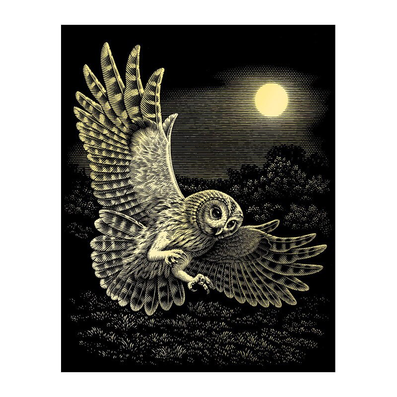 Gravura predesenata Barn Owl Reeves