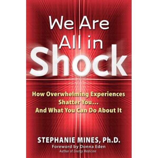 We Are All in Shock: How Overwhelming Experiences Shatter You and What You Can Do about It, Stephanie Mines