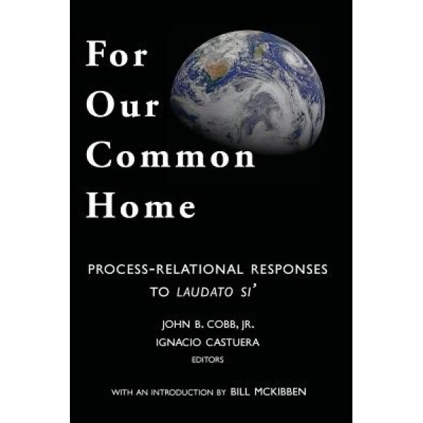 For Our Common Home: Process-Relational Responses to Laudato Si', John B. Cobb Jr (Author)