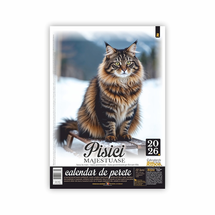 Calendar de perete 2026, Pisici majestuoase, format X3, 33 x 47 cm, 13 file
