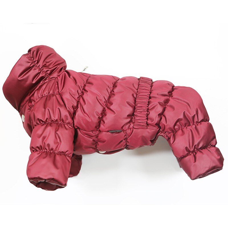 Haina caini PUPPY ANGEL Luxury FDJ fete PA-OW321 Visiniu SM