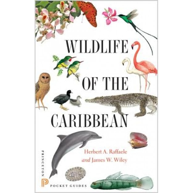 Wildlife of the Caribbean, Herbert A. Raffaele (Author)