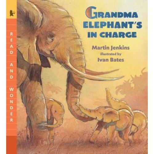 Grandma Elephant's in Charge, Martin Jenkins (Author)