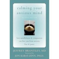 calming your anxious mind how mindfulness amp compassion can free you from anxiety fear amp panic jeffrey brantley imagen 22_0_
0