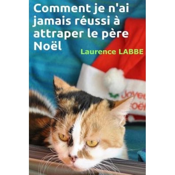 Comment Je N'Ai Jamais Reussi a Attraper Le Pere Noel, Laurence Labbe (Author)