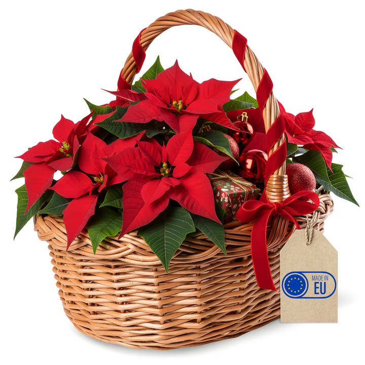 Cos de Paste, Creative Home, Rachita, 35x30x35cm, Maro