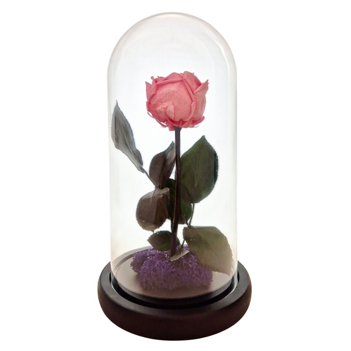 Cupola de sticla cu trandafir de Gradina criogenat Roz Pastel, coada criogenata si licheni mov – 25 x 12 cm – FloraVellé