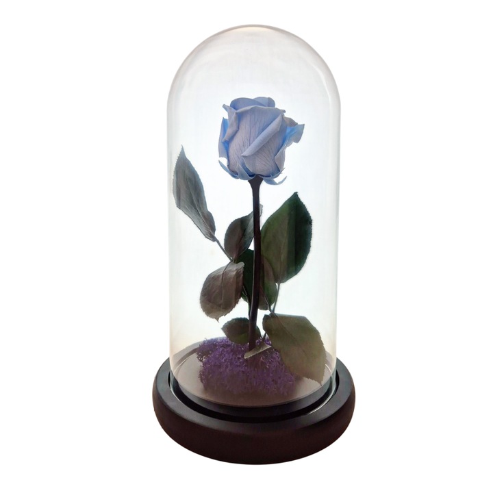 Cupola de sticla cu trandafir criogenat Albastru Deschis, coada criogenata si licheni mov – 25 x 12 cm – FloraVellé