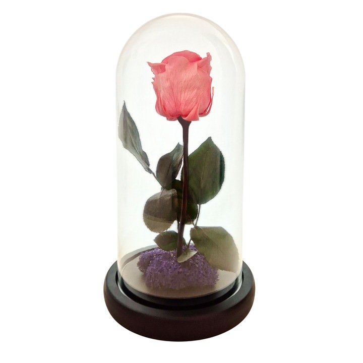 Cupola de sticla cu trandafir criogenat Roz Pastel, coada criogenata si licheni mov – 25 x 12 cm – FloraVellé
