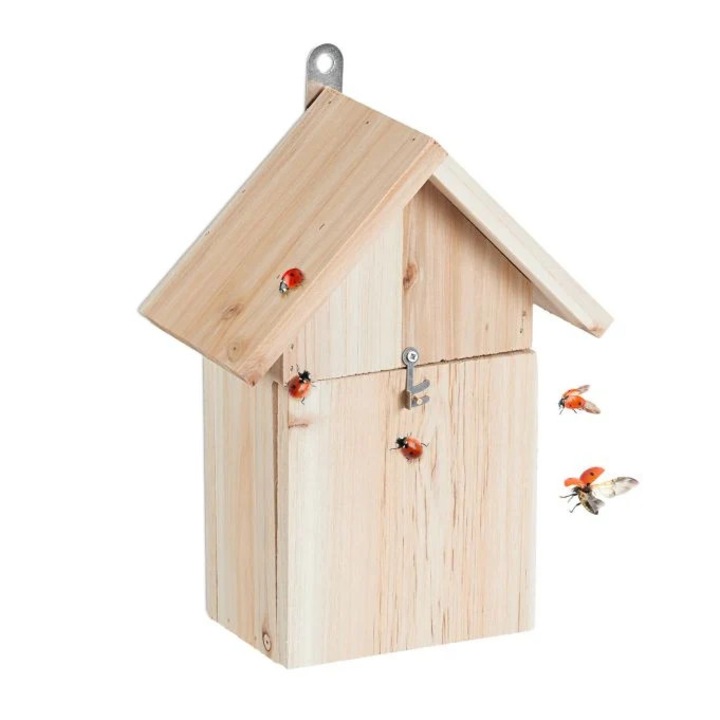Fatica bogár ház, Northix, 25x15x10cm, természetes rovarok