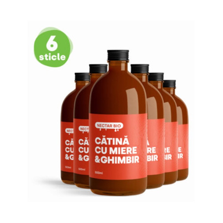 Nectar bio de catina cu miere&ghimbir 500 ml (bax 6x500ml)