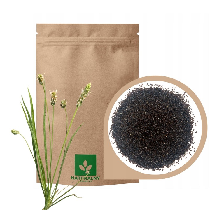 Seminte De Psyllium, Agrest, 500 g, Produs Natural, Doypack, Surse Naturale De Fibre, Sustine Functionarea Normala A Sistemului Digestiv, Ajuta La Reglarea Nivelului De Zahar Si Colesterol, Sprijina Detoxifierea Organismului