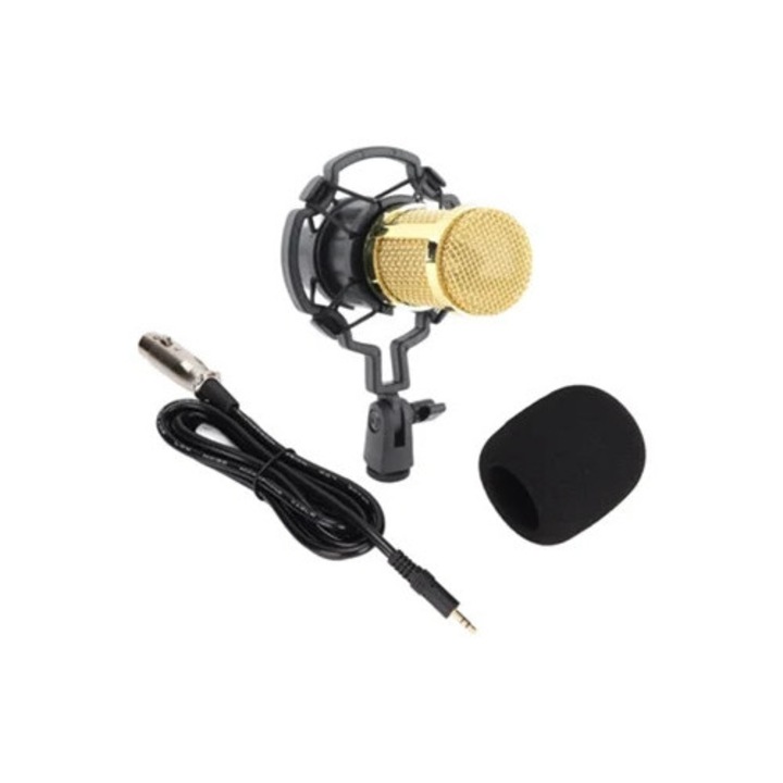 Кондензаторен микрофон с XLR към 3.5 мм кабел за професионален запис