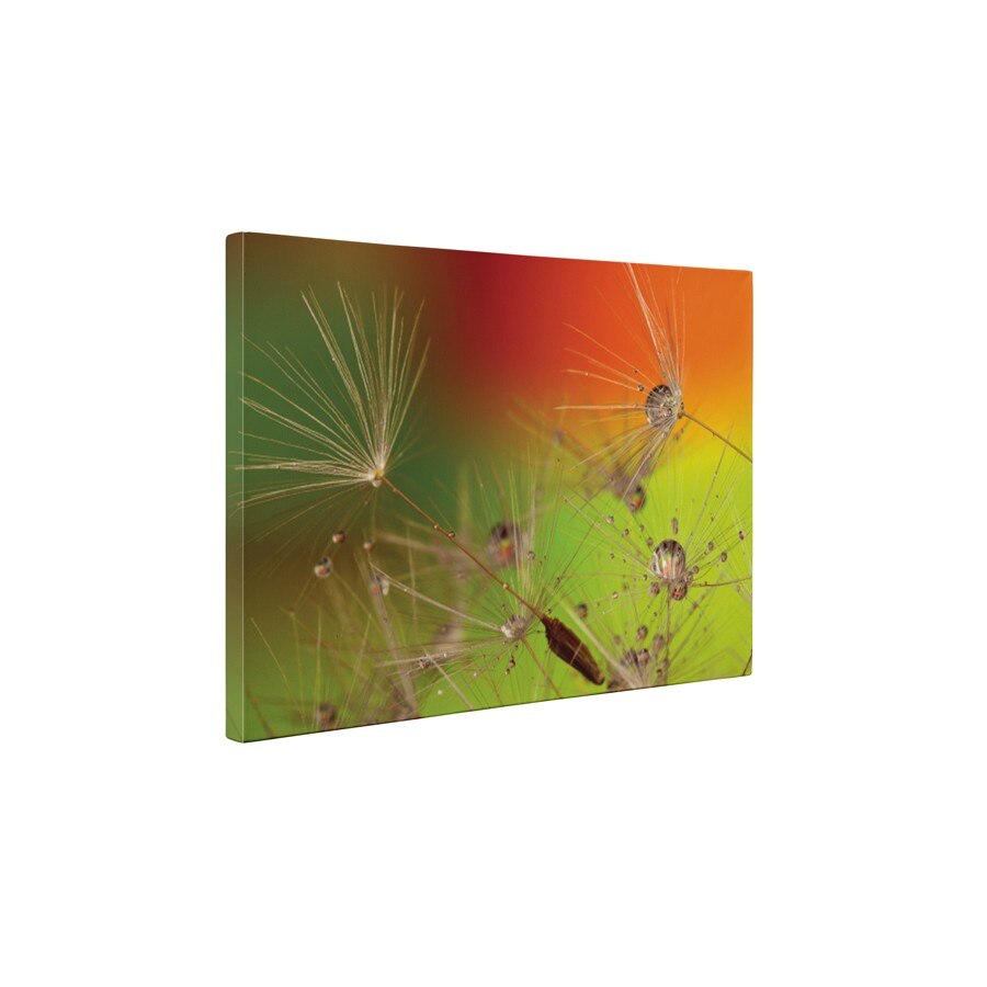 Sufla in papadie - Tablou Canvas - 60x80 cm