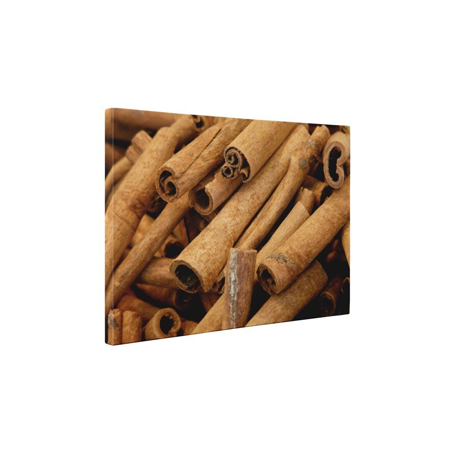 Scortisoara - Tablou Canvas - 35x45 cm