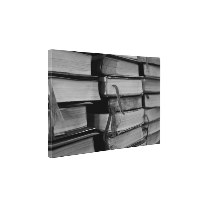 Carti - Tablou Canvas - 50x65 cm