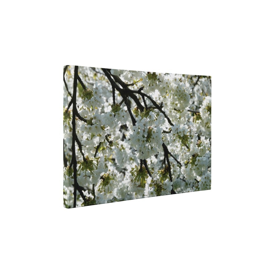 Mar inflorit - Tablou Canvas - 30x40 cm