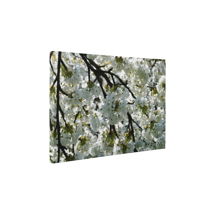 Mar inflorit - Tablou Canvas - 80x105 cm