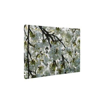 Mar inflorit - Tablou Canvas - 25x35 cm Mar inflorit - Tablou Canvas - 25x35 cm