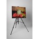 Fructe exotice - Tablou Canvas - 60x80 cm