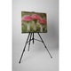 Amanita muscaria - Картина на платно - 80x105 см