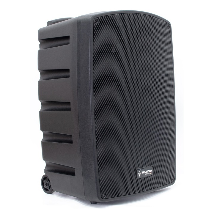 Boxă portabilă cu acumulator Thunder HLR-15 (15″) 1000W (2xMic + MP3 + TWS Bluetooth)