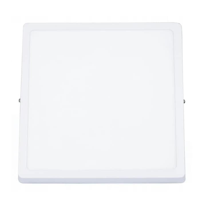 LED mennyezeti lámpa, 18 W, négyzet alakú, 4000 K, 21 x 21 cm, fehér, Dactylion®
