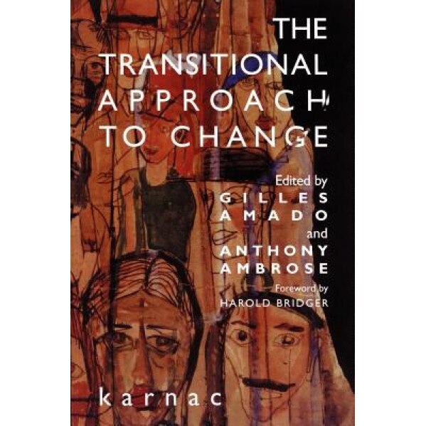 The Transitional Approach to Change - Gilles Amado (Editor)