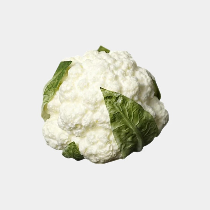 Conopida Artificiala – 12,5 cm, 1 bucata