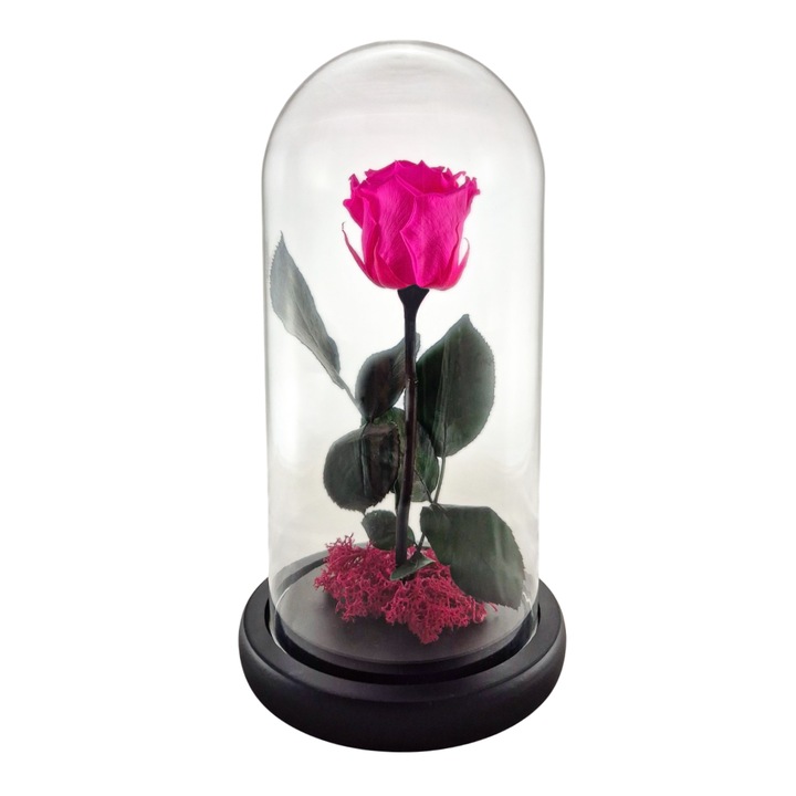 Cupola de sticla cu trandafir criogenat Roz Magenta, coada criogenata si licheni Roz Magenta – 25 x 12 cm – FloraVellé