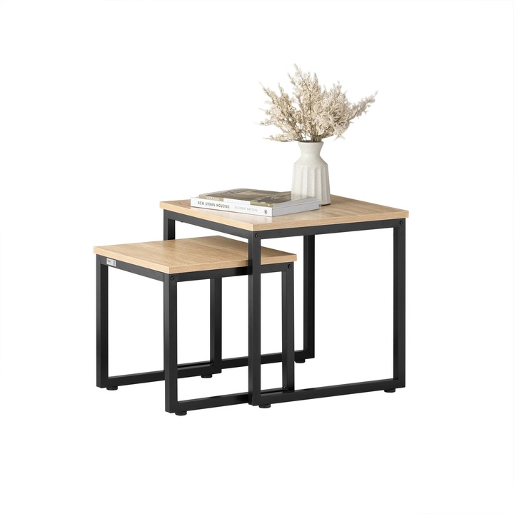 Set de mese FBT42, 2 Piese, masa de cafea, masa laterala, pentru canapea, design modern, culoare maro