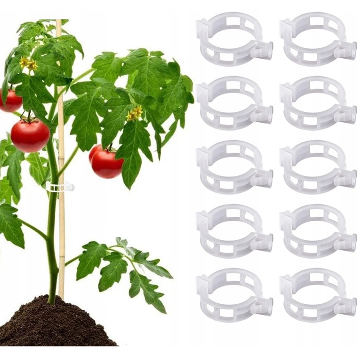 Set cleme pentru plante, M IMPORT, 50 bucăți, diametru 22mm, incolor