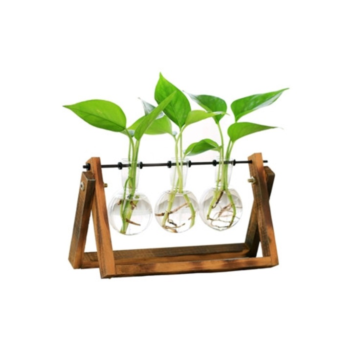Vaza decorativa, terrario hidroponic, baza din lemn, suport metalic rotativ