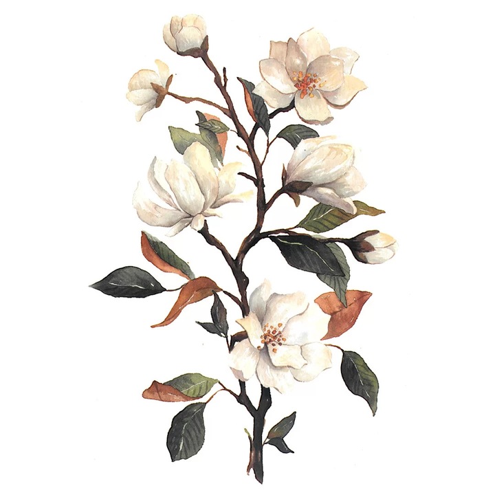 Tatuaj temporar, Flash Tattoos Romania, Magnolia alba, rezistent la apa, aplicare rapida, 21 x 15 cm