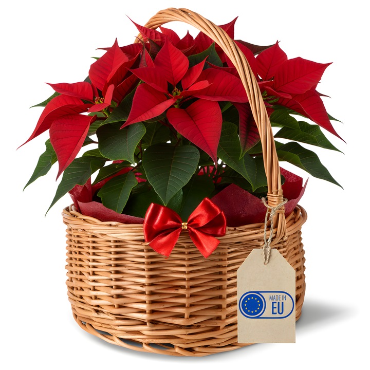 Húsvéti ovális kosár, Creative Home, kis fonott kosár fogantyúval, 30x30x32 cm (+/- 2 cm), kézzel fonott, kerti használatra, ajándékokhoz, gyümölcsökhöz