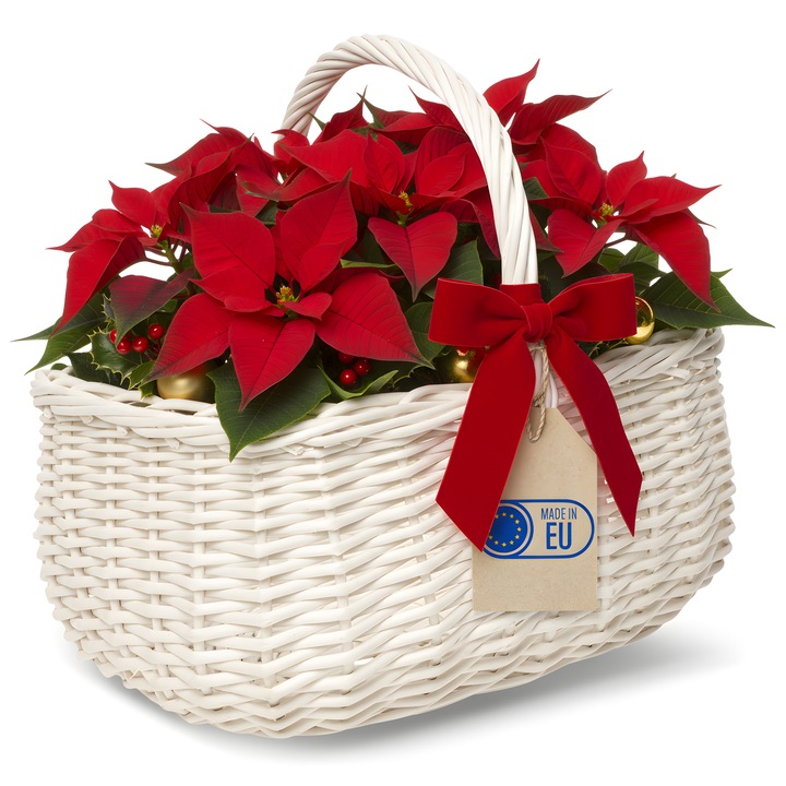 Cos de rachita cu maner, Creative Home, alb, 36 x 26 x 31 cm, decorativ pentru ciuperci si picnic, impletit manual, salcie naturala, maro, multiuz