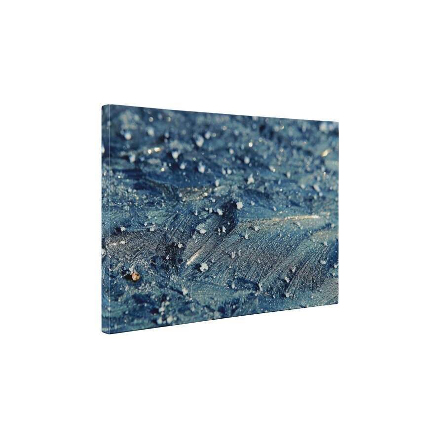 Totul este inghetat - Tablou Canvas - 60x75 cm