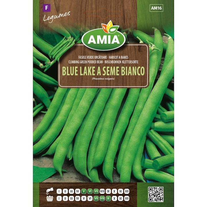 Seminte fasole verde urcatoare, Amia, Blue Lake, 25 grame, pastai fragede, drepte