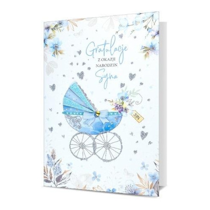 Felicitare Pan Dragon, Karnet Narodziny, 13x19cm, set cu plic