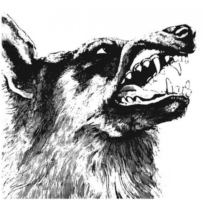 Crippled Black Phoenix - I, Vigilante (LP)