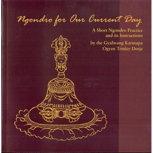 Ngondro for Our Current Day: A Short Ngondro Practice and Its Instructions, Gyalwang Karmapa (Author)