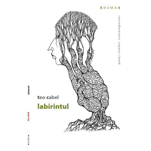 Labirintul - Teo Cabel