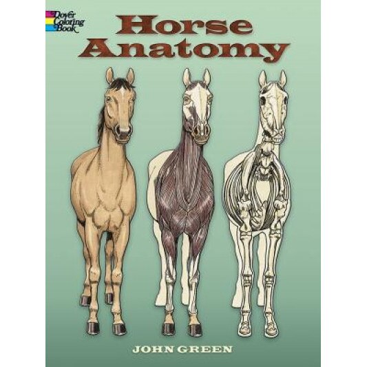 Horse Anatomy, John Green