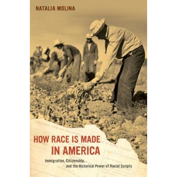 How Race Is Made in America: Immigration, Citizenship, and the Historical Power of Racial Scripts, Natalia Molina (Author)