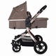 Carucior transformabil 3 in 1 COCCOLLE Oro