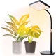 Lampa UV pentru Cresterea Plantelor la interior, 208 LED, Inaltime Reglabila pana la 70 cm, Putere 25W ( 200 W ), Stand Propriu, Negru - CN