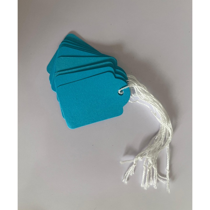 Set 10 etichete carton albastru cu snur alb, 2x3 cm