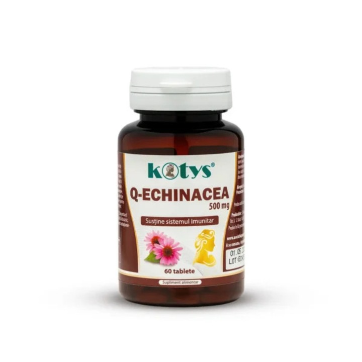 Q-Echinacea 500mg, 60 tablete, KOTYS, extract din Echinacea purpurea, suport imunitar